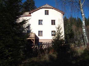 Гостиница Apartmány Domino, Железна Руда